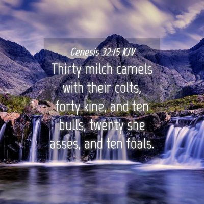 Picture 04 - Genesis 32:15 KJV - Thirty milch camels with their colts, forty kine, - Bible Verse Picture