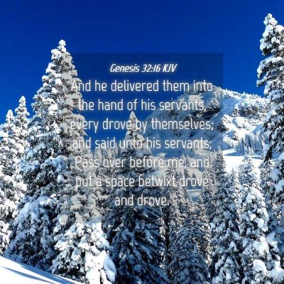 Picture 04 - Genesis 32:16 KJV - And he delivered them into the hand of his - Bible Verse Picture