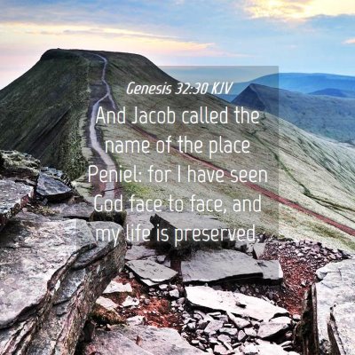Picture 04 - Genesis 32:30 KJV - And Jacob called the name of the place Peniel: - Bible Verse Picture