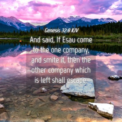 Picture 04 - Genesis 32:8 KJV - And said, If Esau come to the one company, and - Bible Verse Picture
