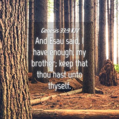 Picture 04 - Genesis 33:9 KJV - And Esau said, I have enough, my brother; keep - Bible Verse Picture