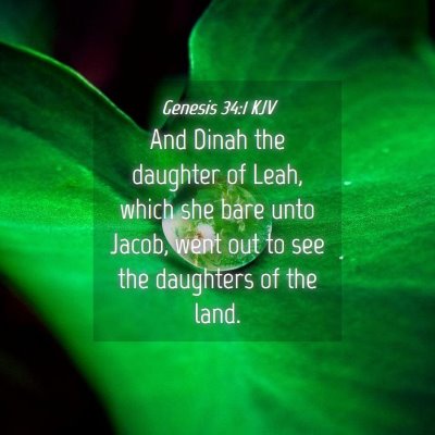 Picture 04 - Genesis 34:1 KJV - And Dinah the daughter of Leah, which she bare - Bible Verse Picture