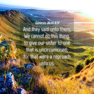 Picture 04 - Genesis 34:14 KJV - And they said unto them, We cannot do this thing, - Bible Verse Picture