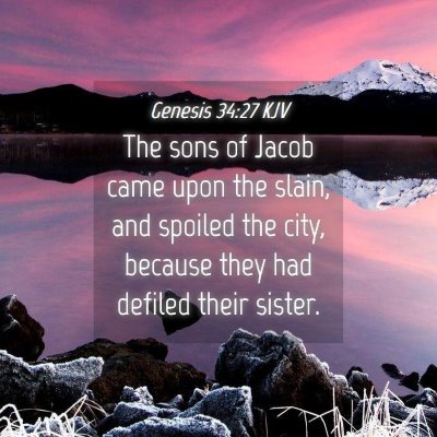 Picture 04 - Genesis 34:27 KJV - The sons of Jacob came upon the slain, and - Bible Verse Picture