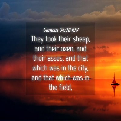 Picture 04 - Genesis 34:28 KJV - They took their sheep, and their oxen, and their - Bible Verse Picture