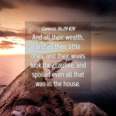 Picture 04 - Genesis 34:29 KJV - And all their wealth, and all their little ones, - Bible Verse Picture