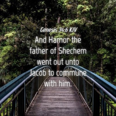Picture 04 - Genesis 34:6 KJV - And Hamor the father of Shechem went out unto - Bible Verse Picture