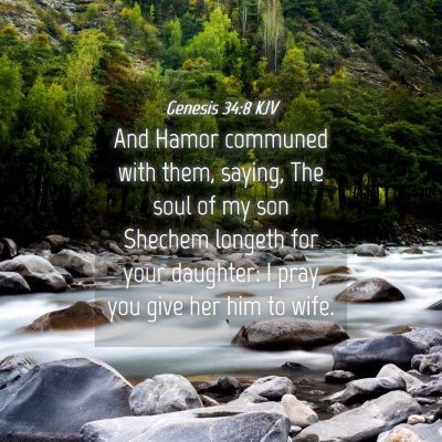 Picture 04 - Genesis 34:8 KJV - And Hamor communed with them, saying, The soul of - Bible Verse Picture