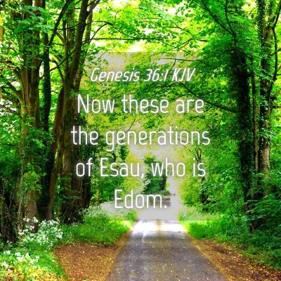 Picture 04 - Genesis 36:1 KJV - Now these are the generations of Esau, who is - Bible Verse Picture