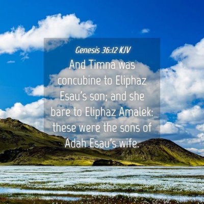 Picture 04 - Genesis 36:12 KJV - And Timna was concubine to Eliphaz Esau's son; - Bible Verse Picture