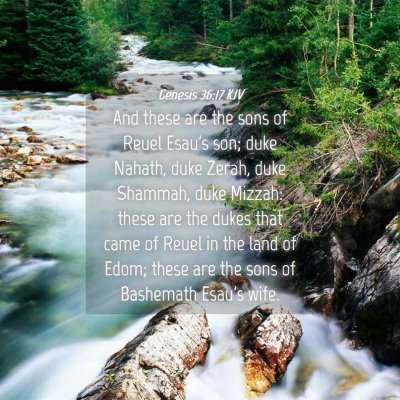 Picture 04 - Genesis 36:17 KJV - And these are the sons of Reuel Esau's son; duke - Bible Verse Picture