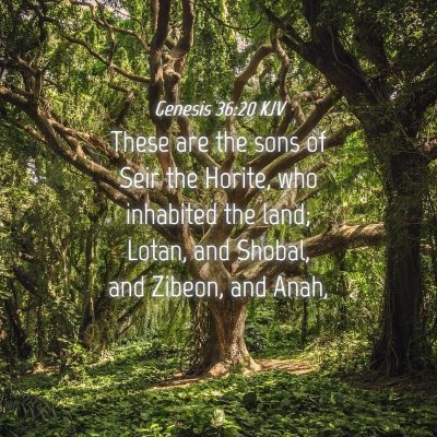 Picture 04 - Genesis 36:20 KJV - These are the sons of Seir the Horite, who - Bible Verse Picture