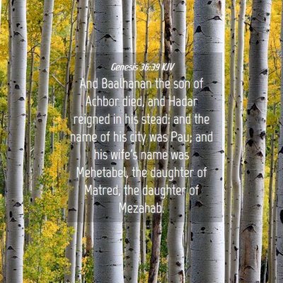 Picture 04 - Genesis 36:39 KJV - And Baalhanan the son of Achbor died, and Hadar - Bible Verse Picture