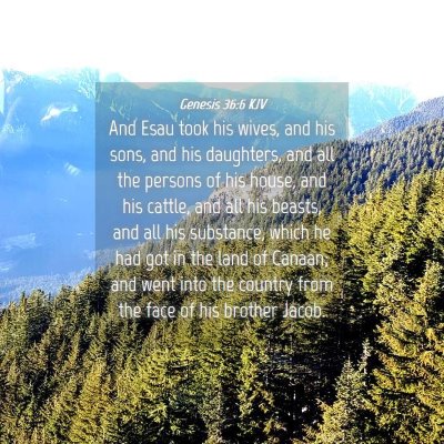 Picture 04 - Genesis 36:6 KJV - And Esau took his wives, and his sons, and his - Bible Verse Picture