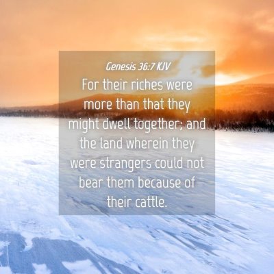 Picture 04 - Genesis 36:7 KJV - For their riches were more than that they might - Bible Verse Picture