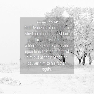 Picture 04 - Genesis 37:22 KJV - And Reuben said unto them, Shed no blood, but - Bible Verse Picture