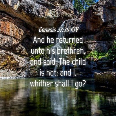 Picture 04 - Genesis 37:30 KJV - And he returned unto his brethren, and said, The - Bible Verse Picture