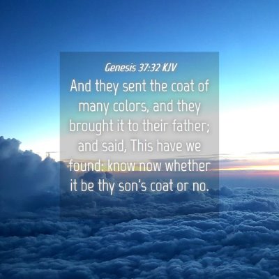Picture 04 - Genesis 37:32 KJV - And they sent the coat of many colors, and they - Bible Verse Picture