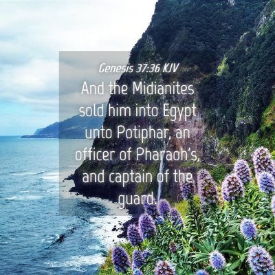Picture 04 - Genesis 37:36 KJV - And the Midianites sold him into Egypt unto - Bible Verse Picture