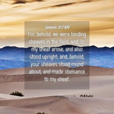 Picture 04 - Genesis 37:7 KJV - For, behold, we were binding sheaves in the - Bible Verse Picture