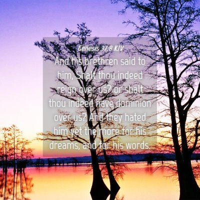 Picture 04 - Genesis 37:8 KJV - And his brethren said to him, Shalt thou indeed - Bible Verse Picture