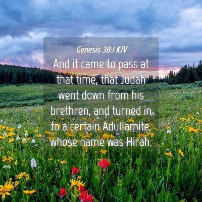 Picture 04 - Genesis 38:1 KJV - And it came to pass at that time, that Judah went - Bible Verse Picture