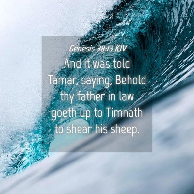 Picture 04 - Genesis 38:13 KJV - And it was told Tamar, saying, Behold thy father - Bible Verse Picture