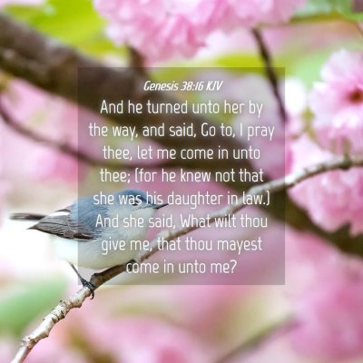 Picture 04 - Genesis 38:16 KJV - And he turned unto her by the way, and said, Go - Bible Verse Picture