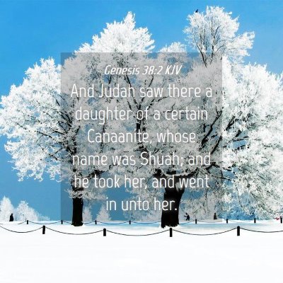 Picture 04 - Genesis 38:2 KJV - And Judah saw there a daughter of a certain - Bible Verse Picture