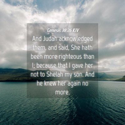 Picture 04 - Genesis 38:26 KJV - And Judah acknowledged them, and said, She hath - Bible Verse Picture