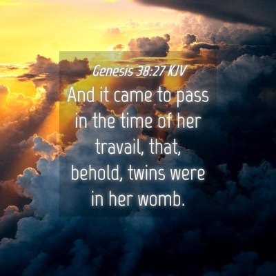 Picture 04 - Genesis 38:27 KJV - And it came to pass in the time of her travail, - Bible Verse Picture