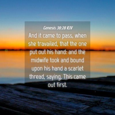 Picture 04 - Genesis 38:28 KJV - And it came to pass, when she travailed, that the - Bible Verse Picture