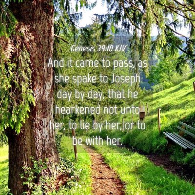 Picture 04 - Genesis 39:10 KJV - And it came to pass, as she spake to Joseph day - Bible Verse Picture