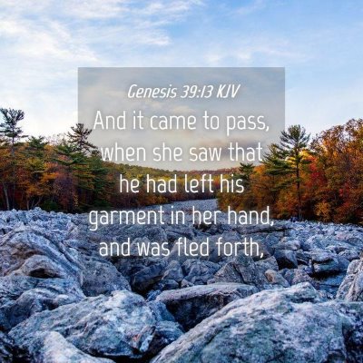 Picture 04 - Genesis 39:13 KJV - And it came to pass, when she saw that he had - Bible Verse Picture