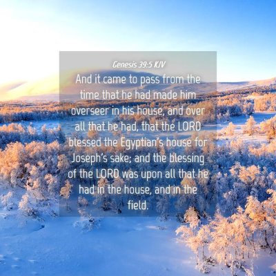 Picture 04 - Genesis 39:5 KJV - And it came to pass from the time that he had - Bible Verse Picture