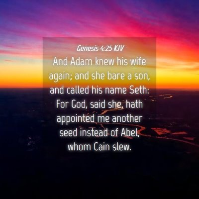 Picture 04 - Genesis 4:25 KJV - And Adam knew his wife again; and she bare a son, - Bible Verse Picture