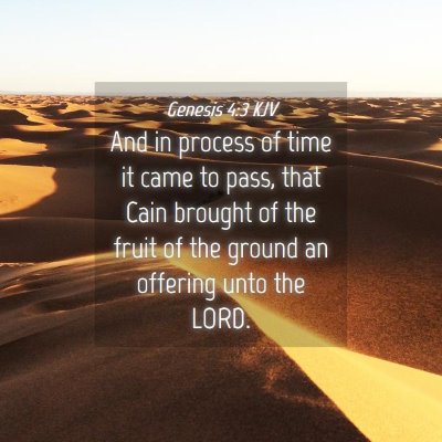 Picture 04 - Genesis 4:3 KJV - And in process of time it came to pass, that Cain - Bible Verse Picture