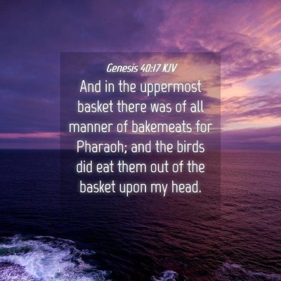 Picture 04 - Genesis 40:17 KJV - And in the uppermost basket there was of all - Bible Verse Picture