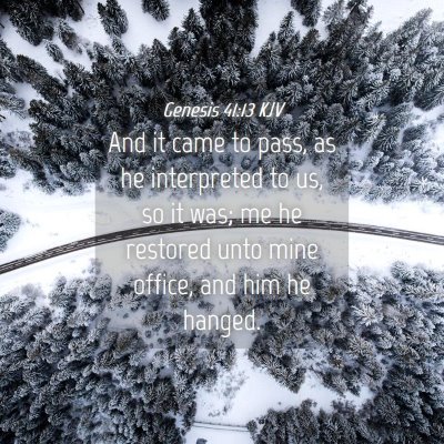 Picture 04 - Genesis 41:13 KJV - And it came to pass, as he interpreted to us, so - Bible Verse Picture