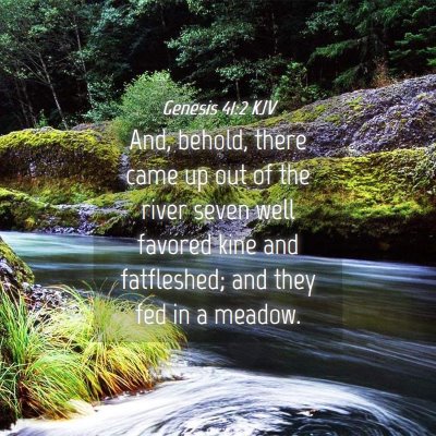 Picture 04 - Genesis 41:2 KJV - And, behold, there came up out of the river seven - Bible Verse Picture