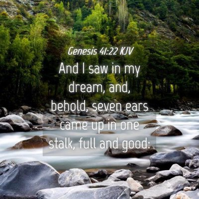 Picture 04 - Genesis 41:22 KJV - And I saw in my dream, and, behold, seven ears - Bible Verse Picture
