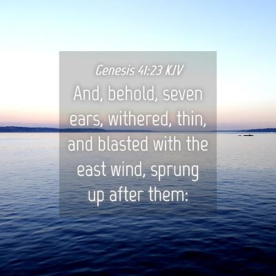 Picture 04 - Genesis 41:23 KJV - And, behold, seven ears, withered, thin, and - Bible Verse Picture