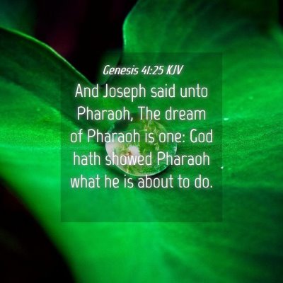 Picture 04 - Genesis 41:25 KJV - And Joseph said unto Pharaoh, The dream of - Bible Verse Picture