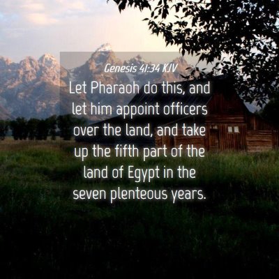 Picture 04 - Genesis 41:34 KJV - Let Pharaoh do this, and let him appoint officers - Bible Verse Picture
