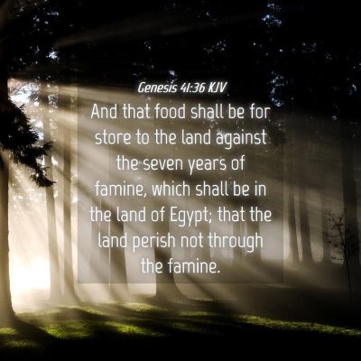 Picture 04 - Genesis 41:36 KJV - And that food shall be for store to the land - Bible Verse Picture