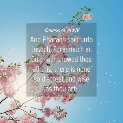Picture 04 - Genesis 41:39 KJV - And Pharaoh said unto Joseph, Forasmuch as God - Bible Verse Picture