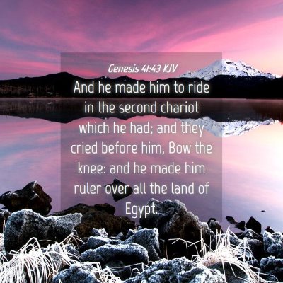 Picture 04 - Genesis 41:43 KJV - And he made him to ride in the second chariot - Bible Verse Picture