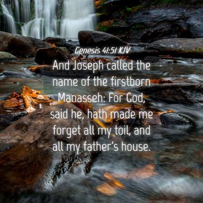 Picture 04 - Genesis 41:51 KJV - And Joseph called the name of the firstborn - Bible Verse Picture