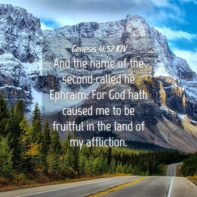 Picture 04 - Genesis 41:52 KJV - And the name of the second called he Ephraim: For - Bible Verse Picture