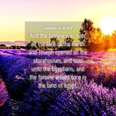 Picture 04 - Genesis 41:56 KJV - And the famine was over all the face of the - Bible Verse Picture